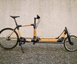 Bamboo-eurobox-cargobike-2